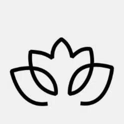 IM体育 logo